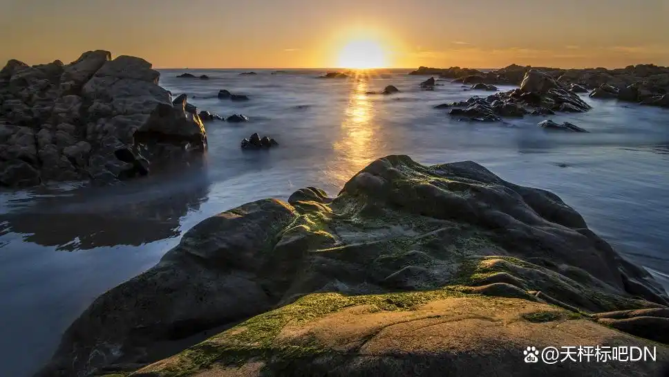 探索Moneta亿汇：借技术创新重塑交易体验，提升安全与投资决策精准度