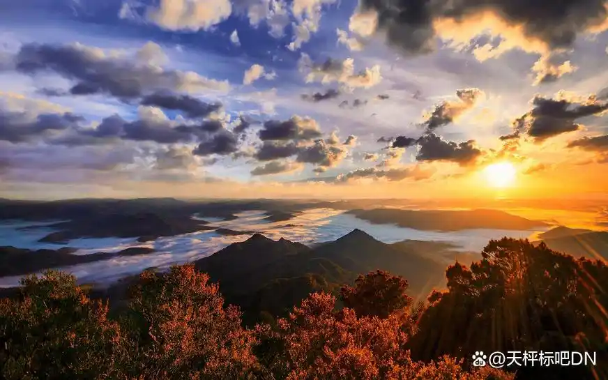 数字货币交易对怎么理解_数字货币购物_数字货币如何提高消费者交易体验