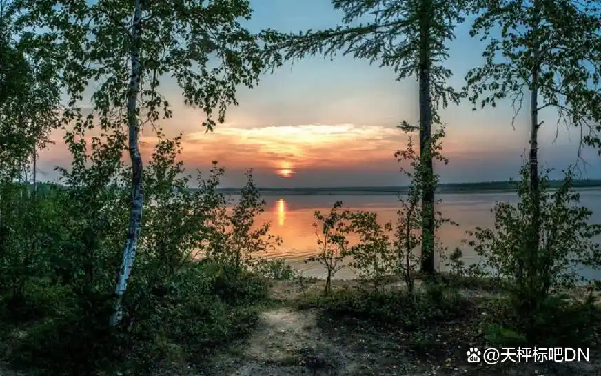 数字货币如何提高消费者交易体验_数字货币交易对怎么理解_数字货币购物