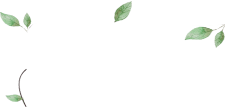 影视剧市场分析怎么写_张晋的影视作品市场分析_影视作品市场调研