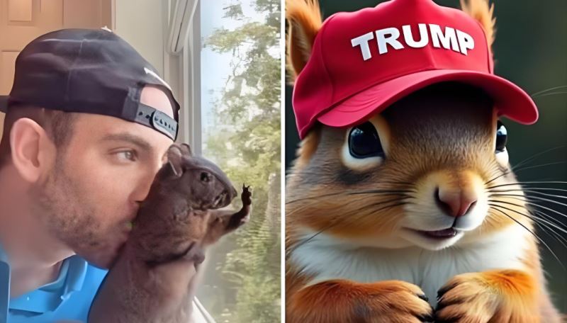 数字货币投资：哪些指标值得关注_货币指标体系其英文缩写名称为_货币指标是什么