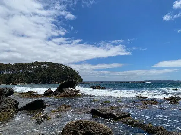 石油能源未来发展趋势_石油供应情况_全球能源转型与石油供应风险上升的动态关系，未来展望