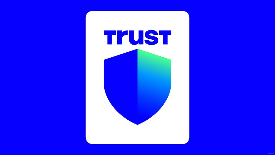 新用户从Trust Wallet官网下载后做好资产管理的关键步骤