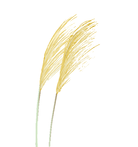 深圳推出数字人民币红包试点：1000万元礼享罗湖，5万个红包等你拿