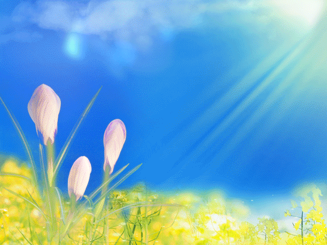 分析区块链技术在银行业的应用与挑战：如何增强安全与效率_银行区块链的应用领域_区块链在银行的应用实例