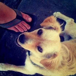 特朗普看空比特币_特朗普拜登比特币最新_特朗普交易平息令代币承压，科技巨头击败比特币