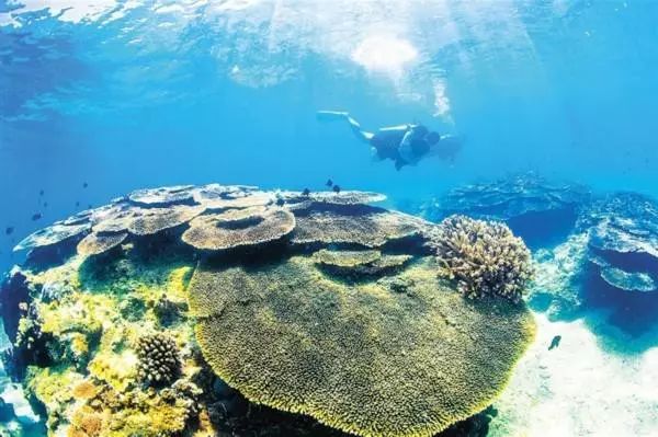 如何利用沃尔沃提升你的旅行体验？_沃尔沃旅行车值得买吗_沃尔沃旅行