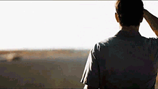 赛车法拉利_法拉利车队赛车_法拉利与赛车运动的紧密联系