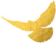 跨境收支货币_如何使用数字货币进行跨境支付_跨境支付的数字货币